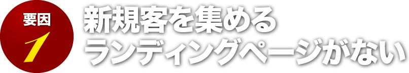 新規客を集めるランディングページがない